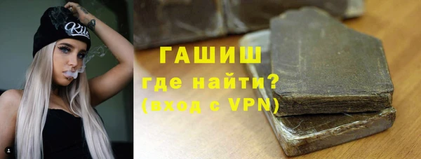 стафф Гусев