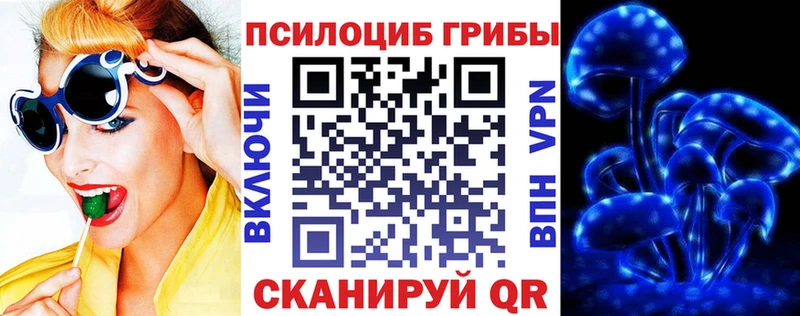Псилоцибиновые грибы Psilocybine cubensis  Ревда 