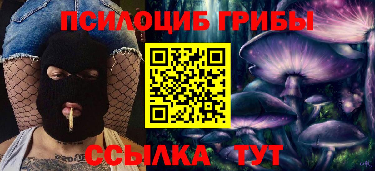 Ревда  Псилоцибиновые грибы мухоморы  Вход с VPN 